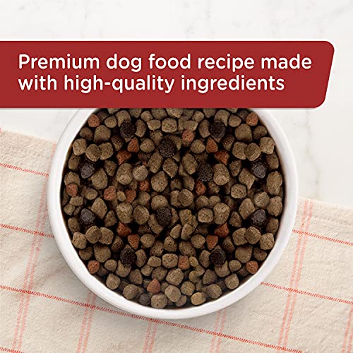 Nutrish Rachael Ray Premium Natural Dry Dog Food, Real Beef, Pea, & Brown Rice Recipe, 40 Pounds