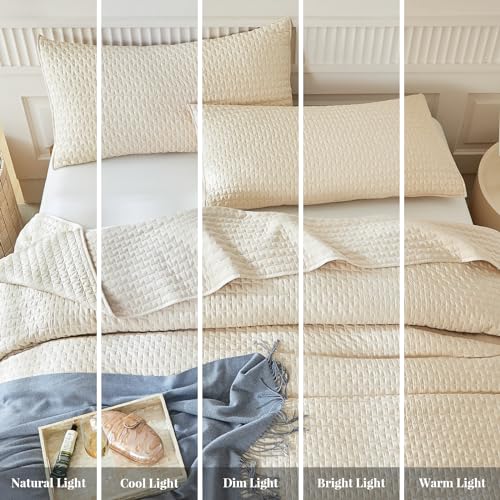 WARMDERN Beige Quilt Sets Queen Size, Cooling Summer Quilt for Hot Sleepers, Soft Lightweight Bedding Bedspread Coverlets for All Season(Beige, Queen)