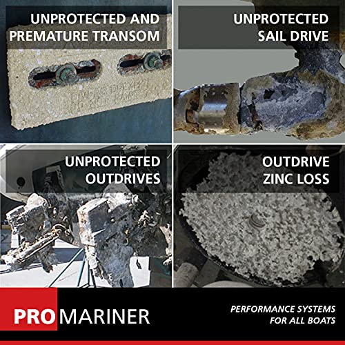 ProMariner 22034 ProSafe 30 Amp Galvanic Isolator, Silver