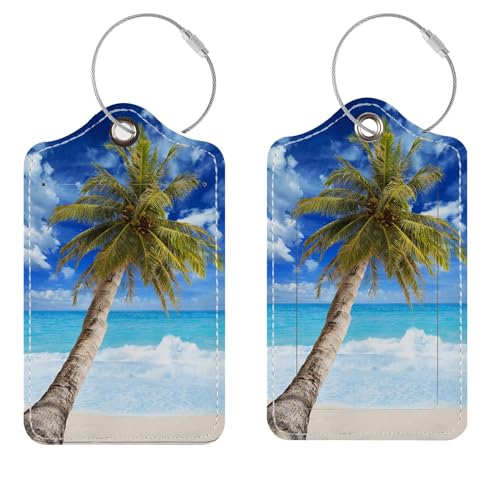 Luggage Tags for Suitcases, 2 Pack Cute PU Leather Suitcase Tag Identifiers TSA Approved with Stainless Steel Loop and Address Card for Baggage Tag for Cruise Airport Travel Essentials by Chelmon