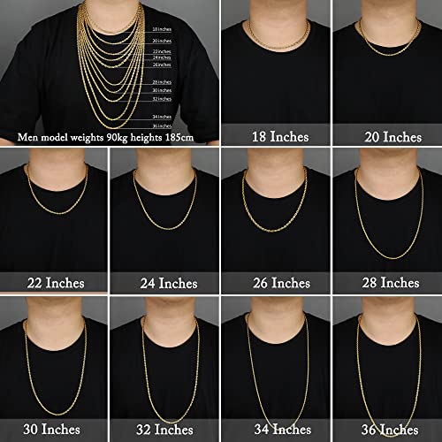 Chains for Men Stainless Steel Chain Necklace Twist Chain Necklace 5mm Rope Jewelry for Men Women 32 Inches