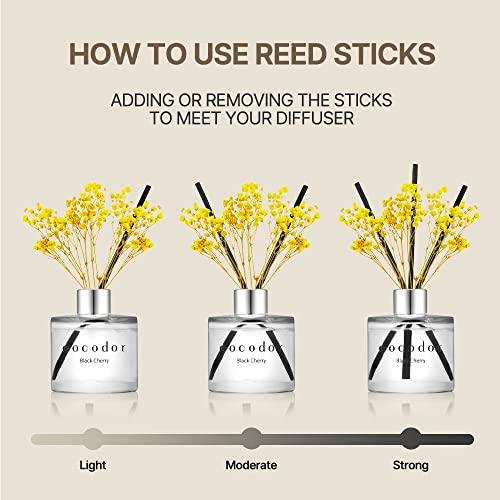 COCODOR Rose Flower Reed Diffuser/Pure Cotton/6.7oz(200ml)/1 Pack/Reed Diffuser, Reed Diffuser Set, Oil Diffuser & Reed Diffuser Sticks, Home Decor & Office Decor, Fragrance and Gifts