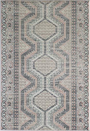 Rugs America Harper HRYA2 Vintage Transitional Area Rug (5'0"X7'0", Heath)
