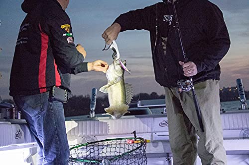 BANDIT LURES Multi-Species Minnow Jerkbait Glowing Fishing Lure, Fishing Accessories, Excellent for Bass and Walleye, 4 5/8", 3/4 oz, Loan Shark