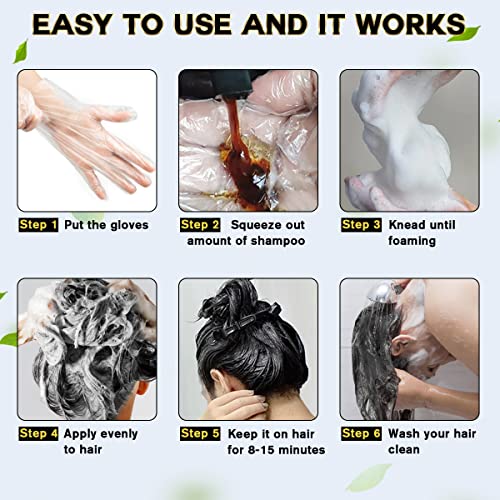 Black Hair Dye Shampoo 3 in 1 for Gray Hair Coverage Hair Dye Champu Para Canas Hair Color Shampoo for Men and Women Herbal Hair Dye Shampoo