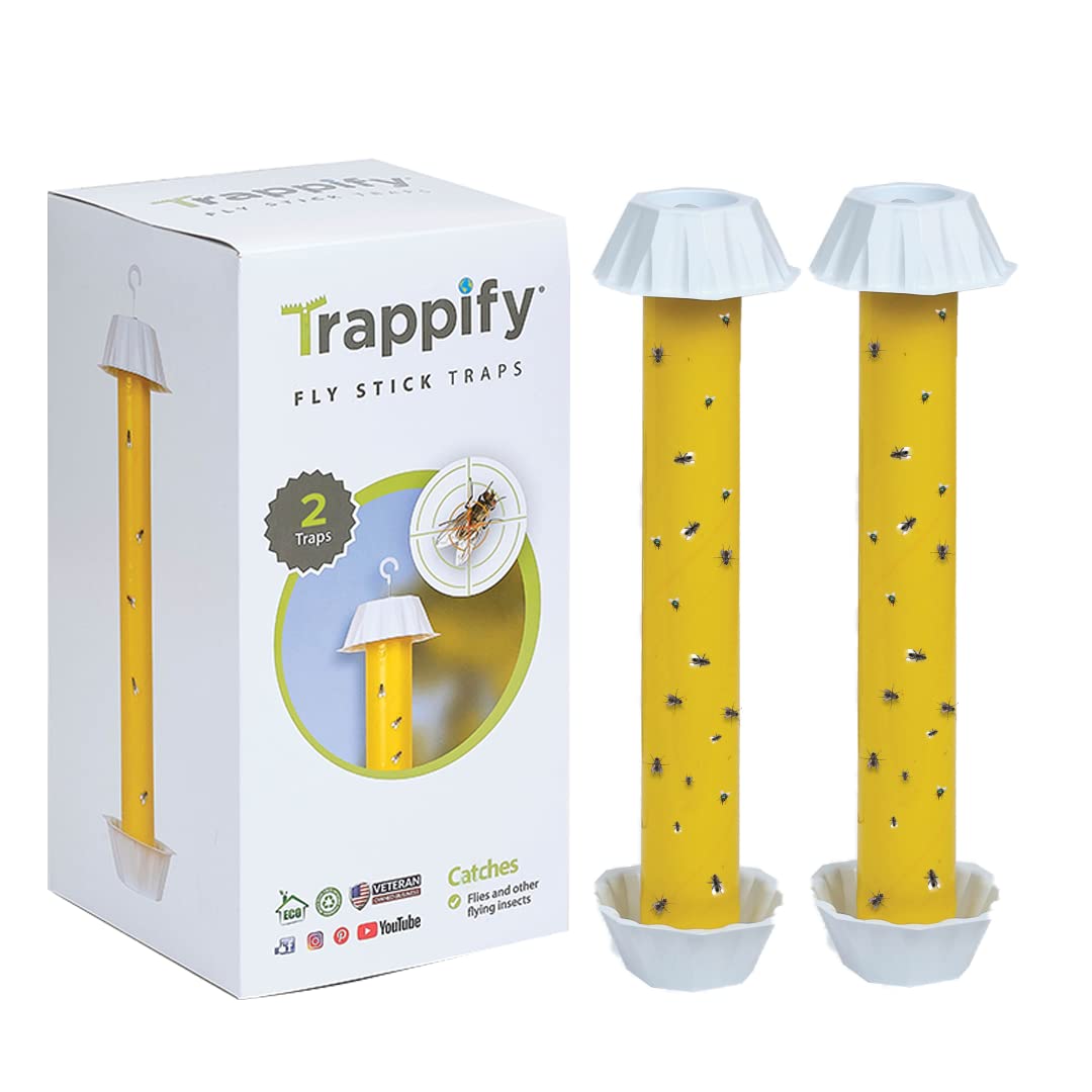 Trappify Hanging Fly Traps Outdoor: Fruit Fly Traps for Indoors | Gnat Traps for House Indoor | Fly Trap Indoor - Disposable Sticky Fly Trap for Indoor House Pest Control (2 Pack)