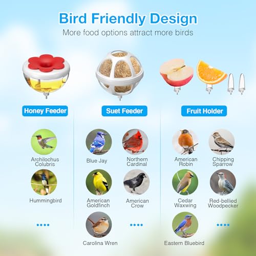 Smart Bird Feeder with Camera, AI Recognition and Solar Powered, Auto Capture & Notity, Bird Video & Motion Detection, Ideal Gifts for Bird Lover