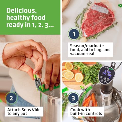 SOUSVIDE ART Cooker Kit - 1000W Sous Vide Immersion Circulator, 15 Vacuum Bags, Pump, Digital Timer, Temperature Control, Gift for Chefs