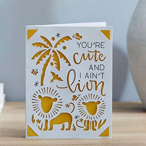 Cricut Joy Insert Cards - DIY greeting card for Baby Shower, Birthday, and Wedding - Mesa Sampler, 12 ct