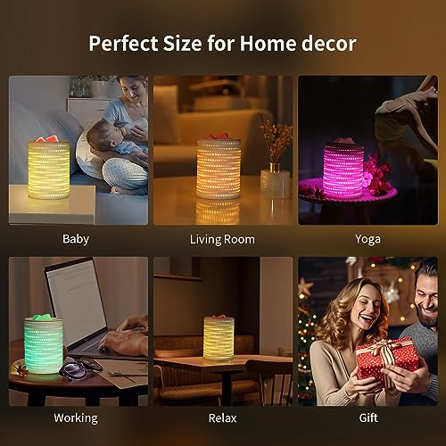 Enaroma Wheatear Wax Melt Warmer Ceramic Oil Burner with Timer Electric Candle Wax Melter with Led Coloful Changing Silicone Removeable Tray for Home Office Bedroom