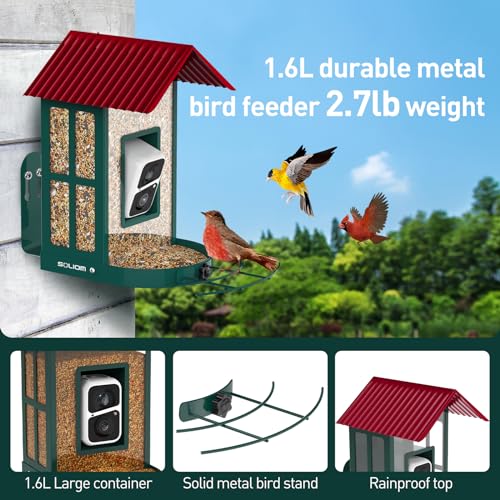 Soliom Bird Feeder with Camera Wireless Outdoor with AI Identify Bird Species, Smart Wild Bird Watching Cam, Live View, Motion Triggered Notification, 3W Solar, 1.6L Small Size-Metal Case BF08S-G