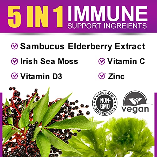 B BEWORTHS Elderberry & Sea Moss Gummies, Organic Black Sambucus Elderberry with Zinc and Vitamin C, D3 for Adults & Kids, Elderberry Gummy Vitamin Supplements for Immune & Energy Support - Vegan