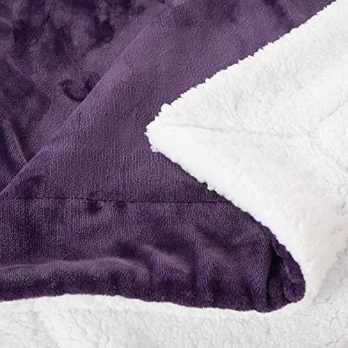 SOCHOW Sherpa Fleece Throw Blanket, Double-Sided Super Soft Luxurious Plush Blanket Twin Size, Malachite Green, 60x80 inches