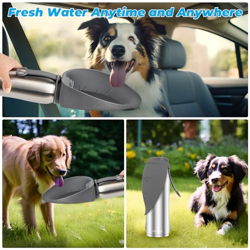 URPOWER 27 Oz Large Dog Water Bottle, Double Wall Insulated Stainless Steel Dog Travel Water Bottle Leak Proof Portable Pet Water Dispenser BPA-Free Drinking Bowl for Dog Outdoor Walking, Hiking