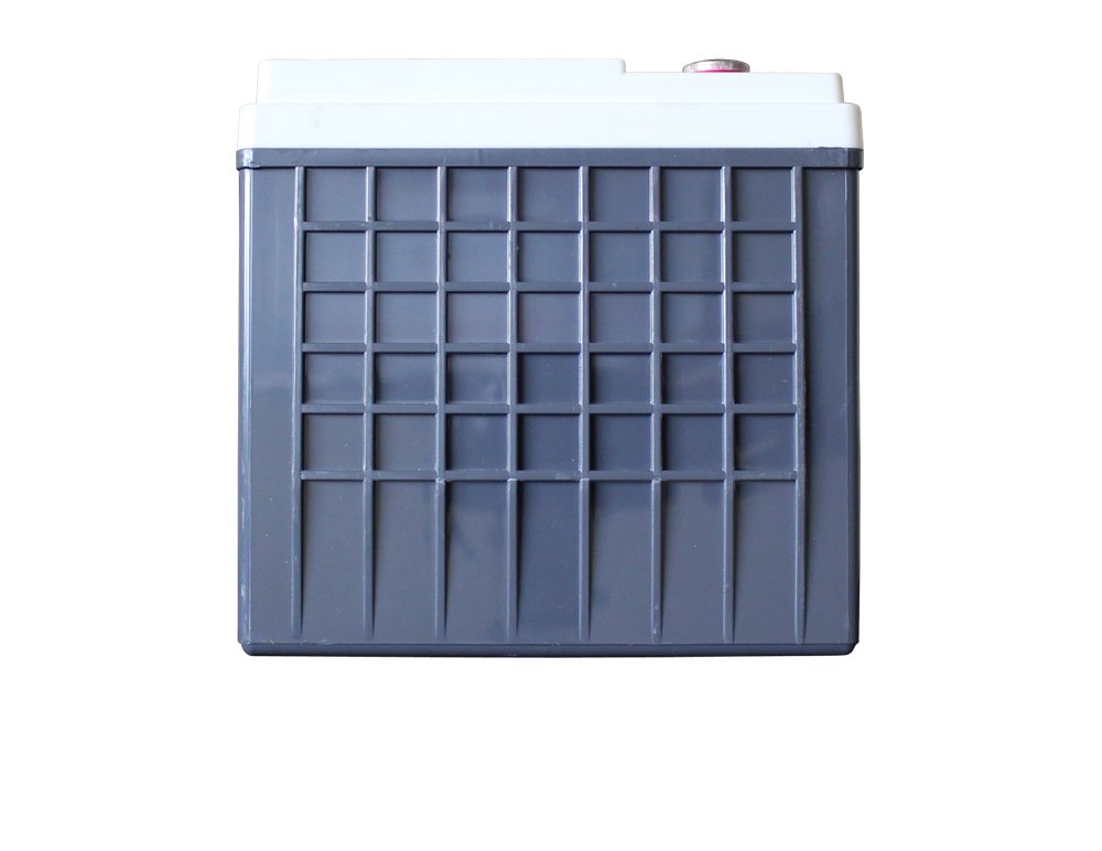 XS Power D6500 12 Volt AGM 3900 Amp Sealed Car Audio Battery/Power Cell+Terminal