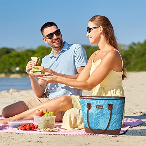 Tirrinia Large Insulated Lunch Tote Bag for Women, Cute Waterproof Leakproof Cooler Bag with Zipper for Work, Beach, Adult Shopping Grocery Bags for Frozen Food - Blue Stripe