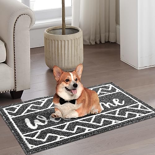 Long Indoor Door Mat, 2' x 8' Entryway Runner Rug, Absorbent Low Profile Throw Rugs with Rubber Backing Washable Non Slip Rug, Shoe Mat Dirt Trapper Carpet Runner for Home Kitchen Laundry Pet, Black