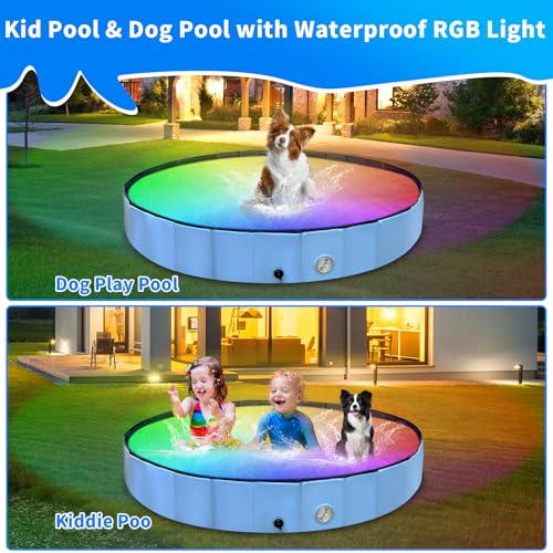 Thecvia Foldable Dog Pool with RGB Lights, Kiddie Pool for Toddlers 1-3, 64" Blue Pet Bathing Tub, Swimming Pool for Kids, Collapsible Kids Pool for Backyard, 1 2 3 4 5 6 7 8 12+ Years Old Toddler Toy