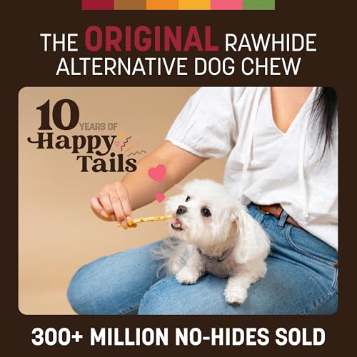 Earth Animal No Hide Stix Beef Flavored Natural Rawhide Free Dog Chews Long Lasting Chew Sticks |Treats for Small Dogs and Cats | Great for Aggressive Chewers 1.6 Oz