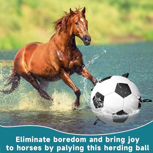 QDAN Herding Dog Balls Horse Ball - 18 inch Horse Toys Herding Ball for Dogs, Large Giant Ball Toys for Australian Shepherd Dog Toys, Black