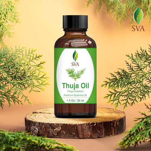 SVA Thuja Essential Oil – 1 Fl Oz – 100% Natural Thuja Oil - for Diffuser, Hair Care, Face, Skin Care, Aromatherapy, Scalp and Body Massage, Soap and Candle Making - with Dropper