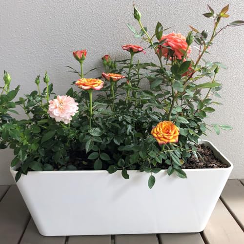 16 Inch Self-Watering Bamboo Planter (Black) - Rectangular - Bamboo Fiber - No Overwatering or Root Rot