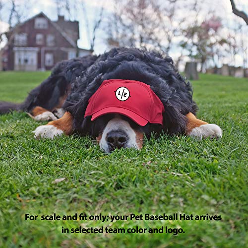 Littlearth Chicago Blackhawks NHL Pet Baseball Hat