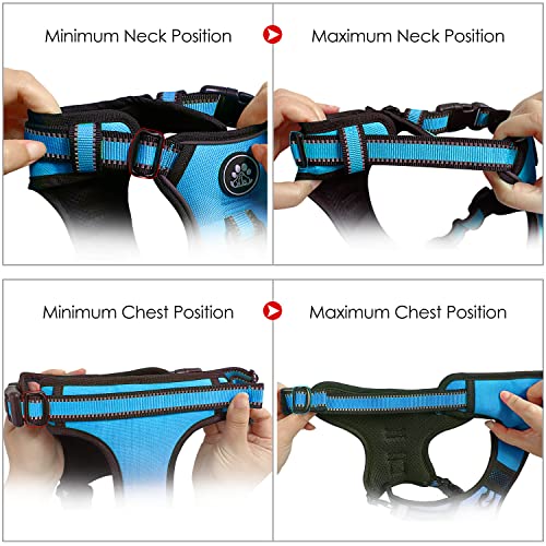 NESTROAD No Pull Dog Harness,Adjustable Oxford Dog Vest Harness with Leash,Reflective No-Choke Pet Harness with Easy Control Soft Handle for Small Dogs(Small,Vintage Blue)