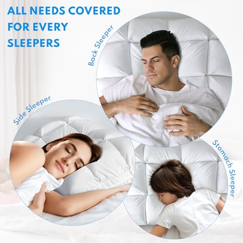 HEYCUZI Bed Pillows Queen Size Set of 2 - Luxury Hotel Soft Cloudy Comfort Pillows for Sleeping, Cooling Premium Down Alternative Pillow for Side, Stomach or Back Sleeper, Dual-Sided Versatile