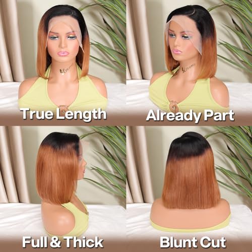 HIRIREMY 16 Inch Ombre Highlight Curly Bob Wig Human Hair For Black Women Wear And Go Glueless 13x4 HD Honey Blonde Highlight Deep Wave Lace Front Wigs Human Hair Pre Plucked Wet And Wavy 4/27