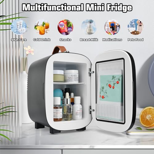 Hansburg Mini Fridge for Bedroom Skincare Cooler & Warmer Portable Small Refrigerator 4 Liter/6 can with 12v AC/DC/USB Option for Food, Drinks, Makeup, Dorm, Office and Car