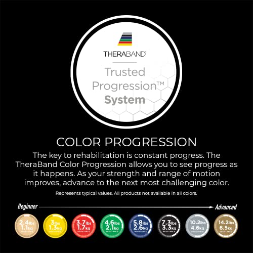 THERABAND Resistance Bands, 5 Foot, 15 Count Professional Latex Elastic Bands For Upper & Lower Body Exercise, Physical Therapy, Pilates, Home Workouts, & Rehab, Special Heavy Black, Advanced Level 1
