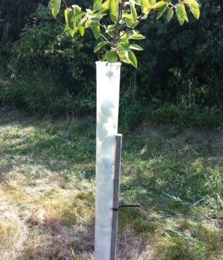 48" Miracle Tree Tube (10)