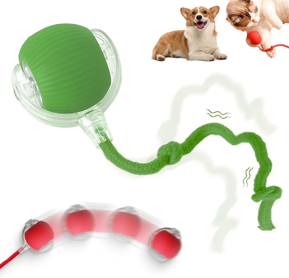 Interactive Rolling Dog Ball, 2025 Upgraded Version Automatic Rolling Ball Dog Ball Interactive Cat Toy Automatic Cat Toy Automatic Moving Dog Toy, 360° Intelligent Automatic Rolling Ball (Green)