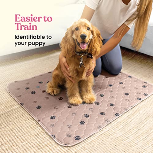 Super Absorbent Washable Pee Pads for Dogs - 2-Pack Superior Reusable Puppy Pads Pet Training Pads –100% Waterproof Dog Pee Pad Protects Against Urine Leakage Non-Slip Grip Prevents Slipping& Bunching