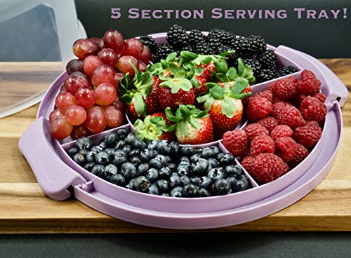Top Shelf Elements Round Cake Carrier Two Sided Cake Holder Serves as Five Section Serving Tray, Portable Cake Stand Fits 10 inch Cake, Cake Box Comes With Handle, Cake Container Holds Pies (Lilac)
