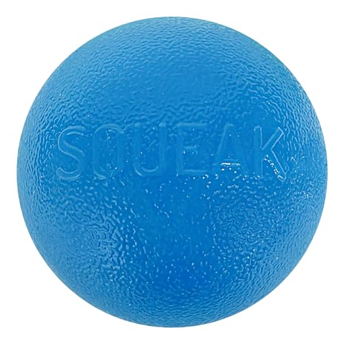 Outward Hound by Planet Dog Squeak Ball Bouncy Fetch Dog Toy, Blue