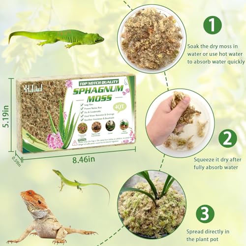 Halatool 3OZ Natural Sphagnum Moss for Plants 2 QT Premium Peat Moss Dried Long Fiber Orchid Moss for Orchid Repotting Carnivorous Succulents Garden Flowers Crafts Terrarium and Reptiles