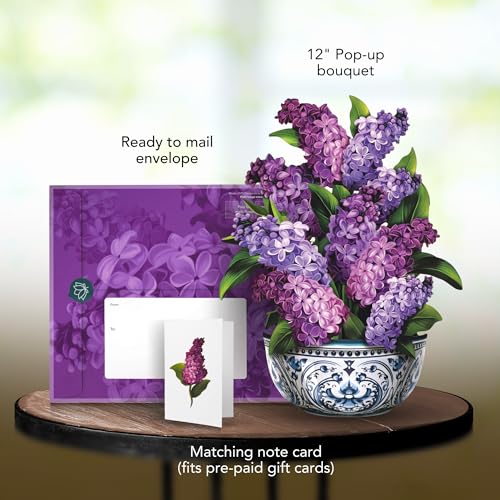 Freshcut Paper Pop Up Cards, Paper Flower Bouquet 3D Popup Greeting Cards with Note Card & Envelope, Birthday Card, Anniversary Card, Get Well Gifts for Women,12" French Blooms