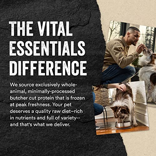 Vital Essentials Freeze Dried Raw Single Ingredient Dog Treats, Beef Liver, 2.1 oz