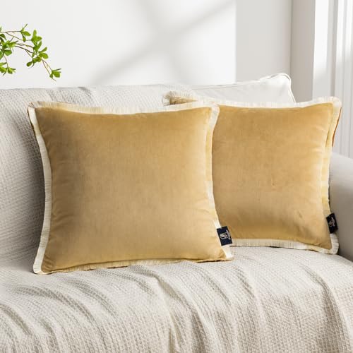 Phantoscope Pack of 2 Velvet Decorative Throw Pillow Covers, Double-Sided Tassel Trimmed Design, Soft Luxury Velvet Pillows Square Cushion Case for Couch Sofa Bed, Beige, 18 x 18 inches 45 x 45 cm