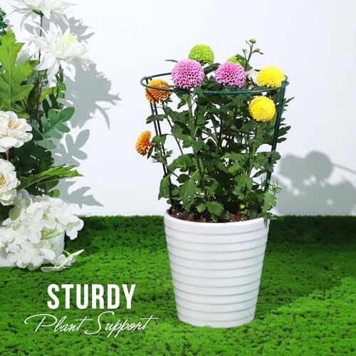 LEOBRO Plant Support Stakes, 4 PCS Plant Stakes, Plant Support, Peony Cages and Supports, Garden Stakes, Plant Holder, Plant Stakes for Outdoor Plants, Peony Hydrangea Support Cage, 9.8" W x 15.7" H