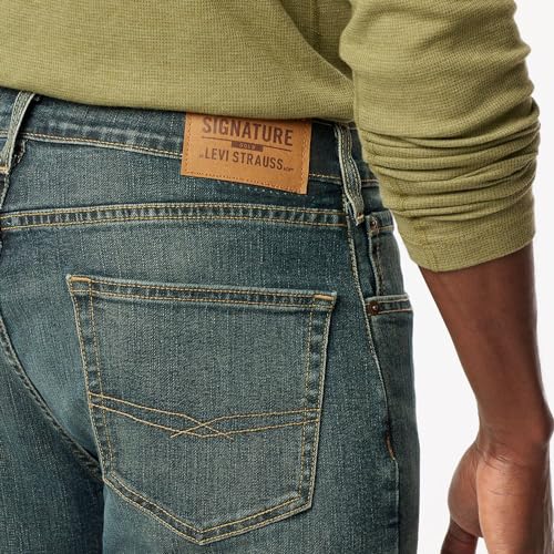 Signature by Levi Strauss & Co. Gold Men's Regular Fit Flex Jeans, Chart FLX, 36Wx30L