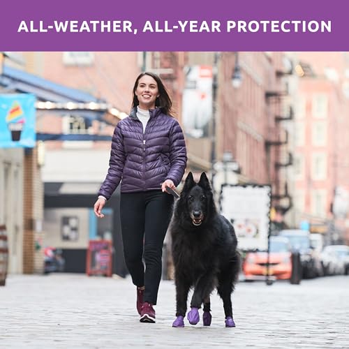 Pawz Dog Boots Pawz Protective Dog Boots To 4 Inch Large Purple - 12 Count
