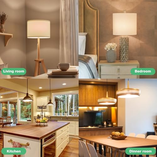 DEGNJU 100W Equivalent A19 5000K Daylight LED Light Bulbs, 1500 Lumens, E26 Base, Non-Dimmable, 13W Bright White for Bedroom Home Office, 3 Pack