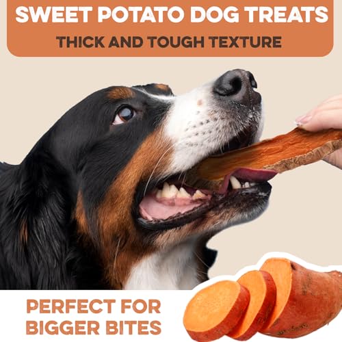 Sweet Potato Slices - Dog Treats - Single Ingredient Grain Free for Dogs, Best High Anti-Oxidant Healthy 100% Natural Thick Cut Dried Sweet Potato Dog Treats With No Added Preservatives (8oz)