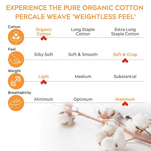 Sleep Mantra 100% Organic Cotton Bed Sheet Set - Crisp and Cooling Percale Weave, Soft Breathable, Eco-Friendly, 3 Piece Bedding Set, Deep Pocket with All-Around Elastic, (Twin XL, Blue)