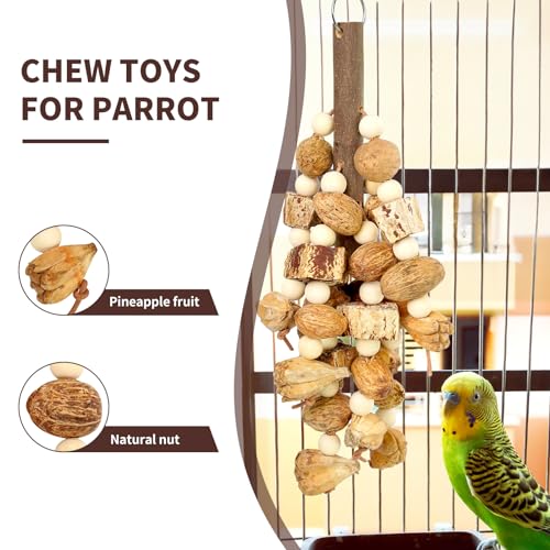 HPAWHOMEPART Large Bird Toys,Chewing Toys for Parrot,Natural Nut Hanging Toys for Parakeet,Lovebirds,Finch,Macaws,Cockatiel