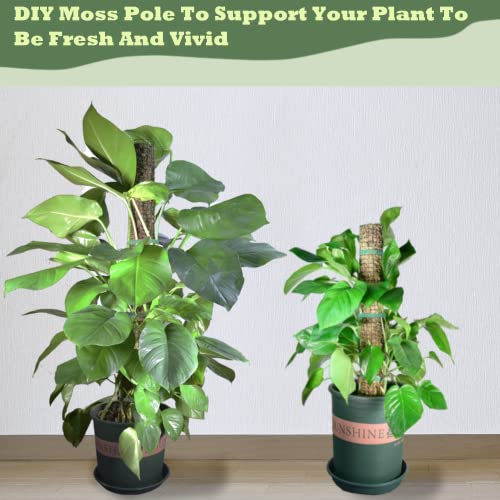 Moss Pole DIY Kit, 6.6/13.2/26.4ft Metal Moss Pole for Plants Monstera, 2Pcs 8.3in×3.3ft Steel Mesh with Plier, Cable Zip Ties, Sphagnum Moss Pole (6.6ft Wire Mesh with Plier)