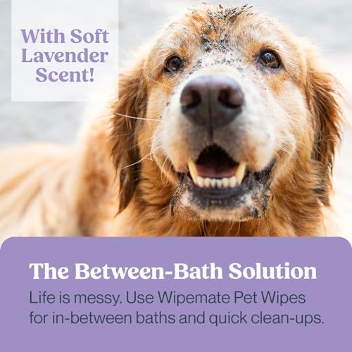 WIPEMATE Lavender Scent Premium Dog & Cat Pet Wipes Cleans Pet Paws, Ears, Fur, Butt, & Anal Gland Wipe No-Rinse Solution Gentle Deodorizing & Hypoallergenic for Small/Medium Pets - 100 Count